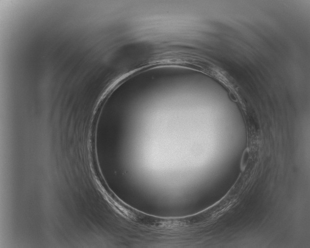 X0000060230803200511041229