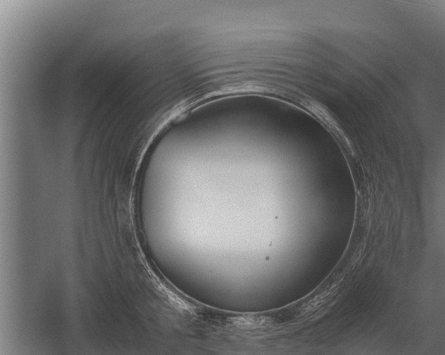 X0000060230805200511041229