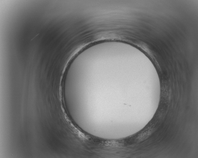 X0000060230807200511041229