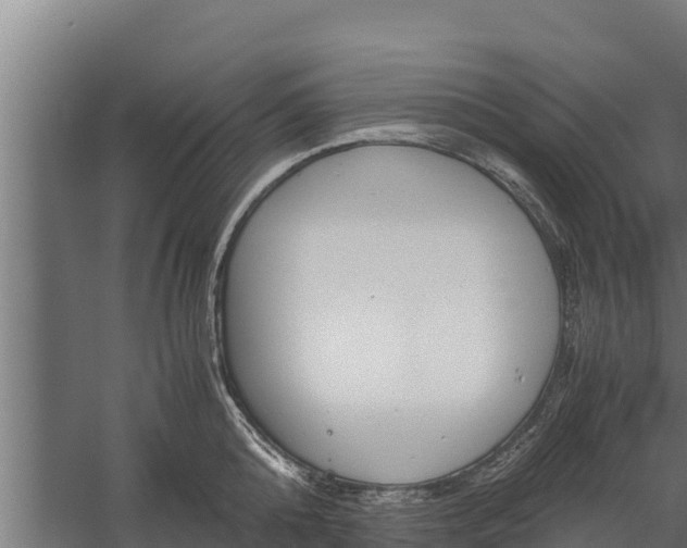 X0000060230808200511041229