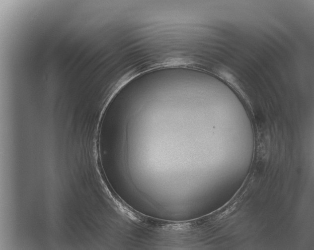 X0000060230810200511041229