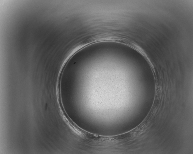 X0000060230811200511041229