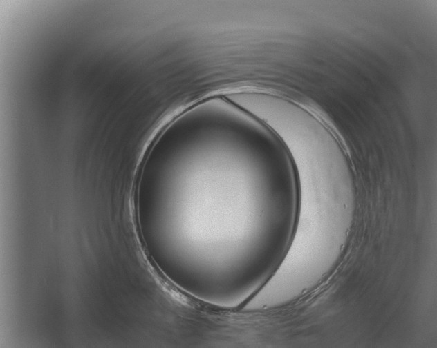 X0000060230813200511041229