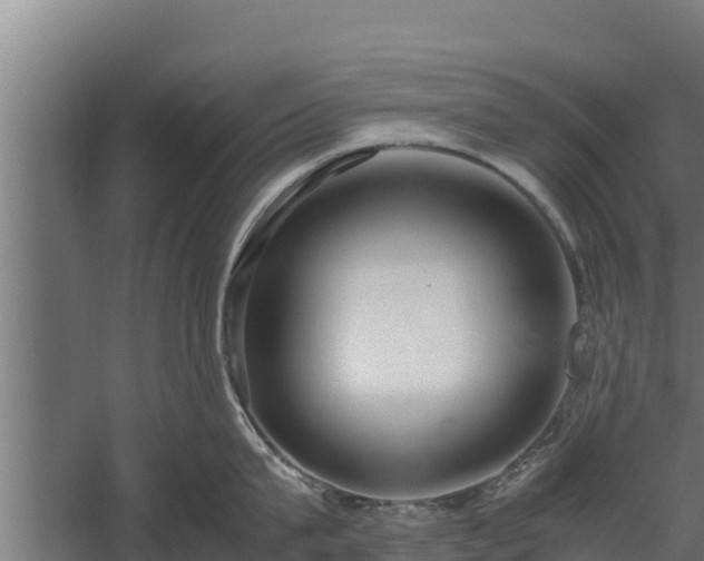 X0000060230815200511041229