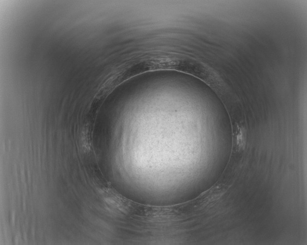 X0000060230819200511041228