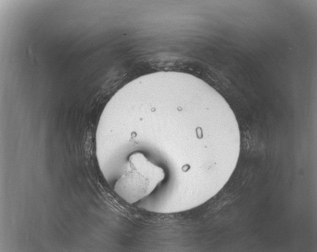 X0000060230820200511041228