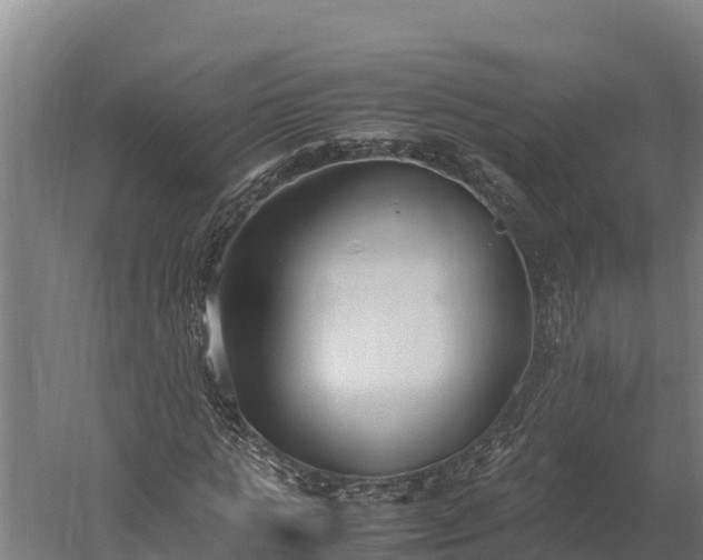 X0000060230821200511041228