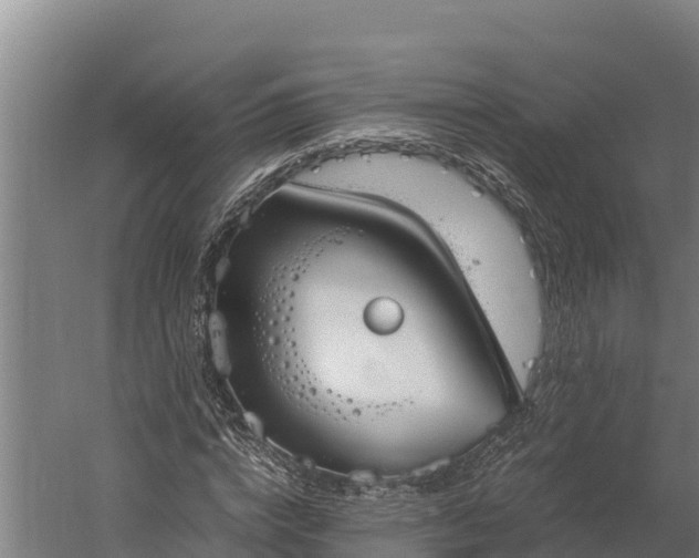 X0000060230824200511041228