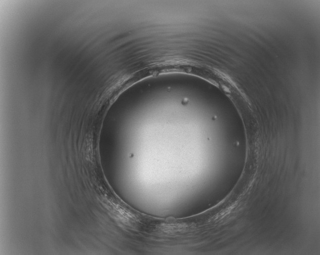 X0000060230825200511041228