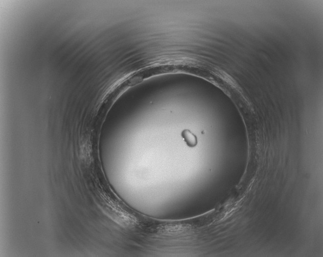 X0000060230826200511041228