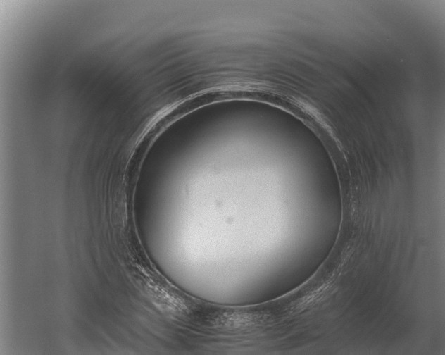 X0000060230829200511041228