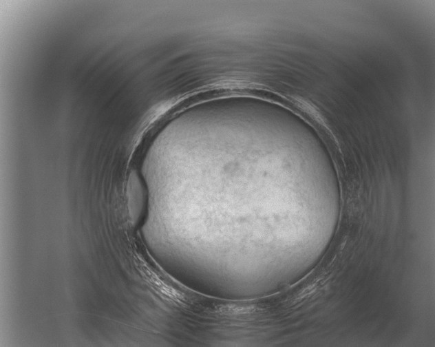 X0000060230831200511041228