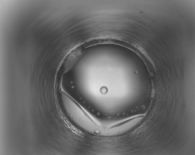 X0000060230832200511041228