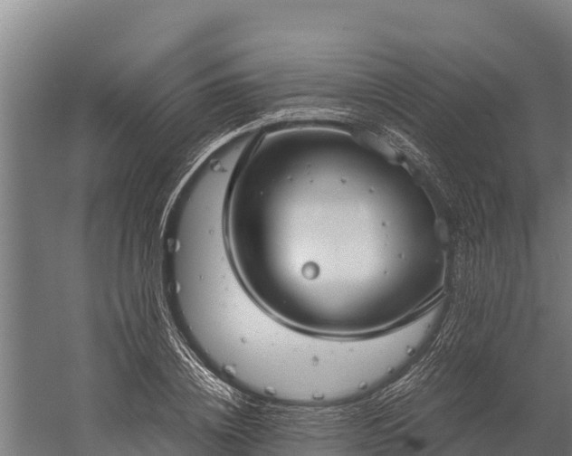 X0000060230836200511041228