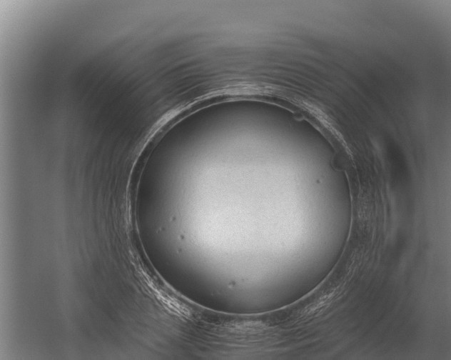 X0000060230837200511041228