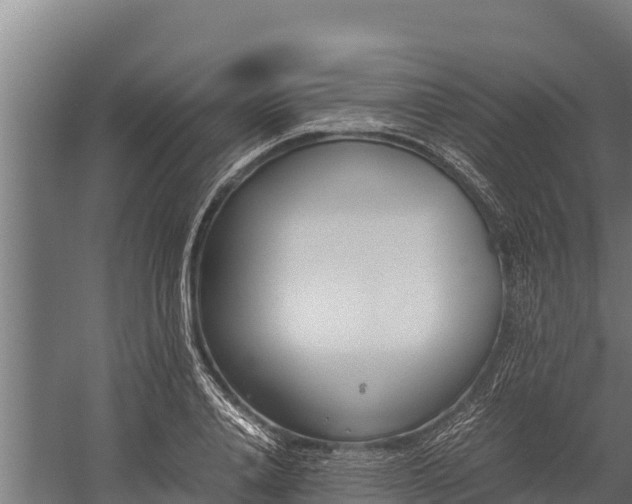 X0000060230840200511041228