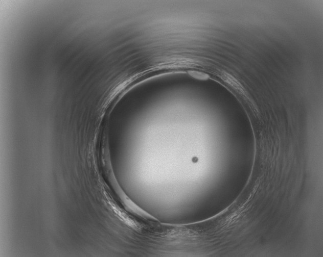 X0000060230842200511041228