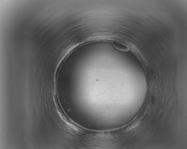 X0000060230844200511041228