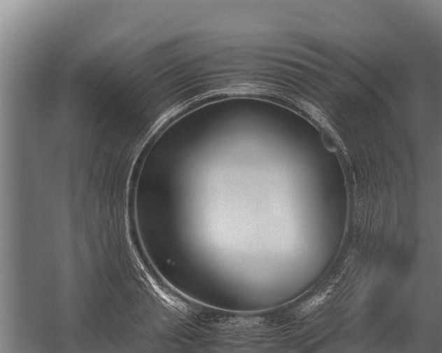 X0000060230845200511041229