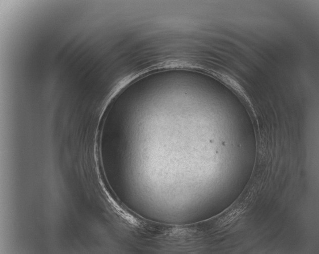 X0000060230847200511041229