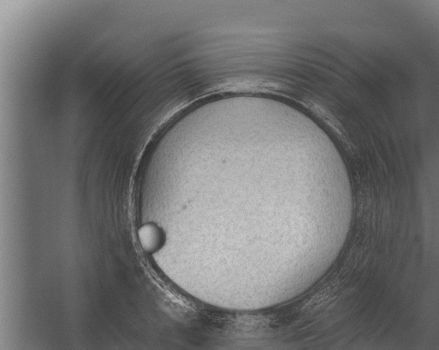 X0000060230848200511041229