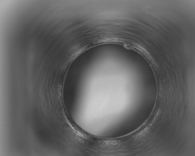 X0000060230849200511041229