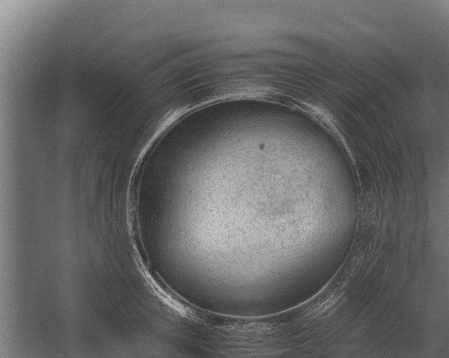 X0000060230851200511041229