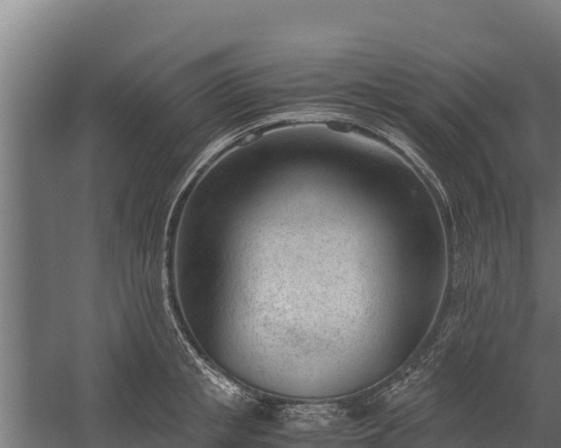 X0000060230853200511041229