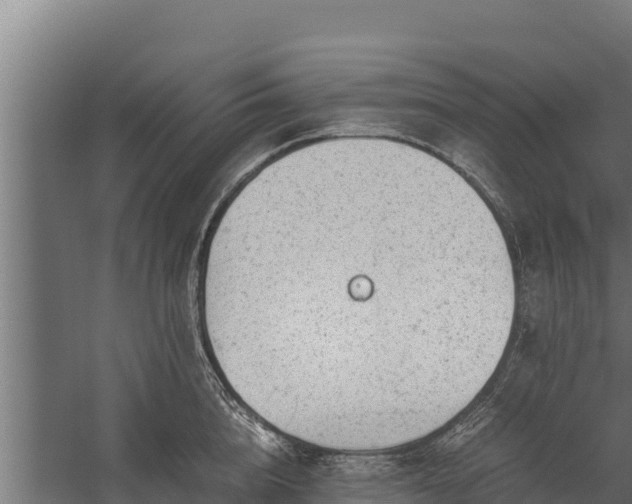 X0000060230856200511041229