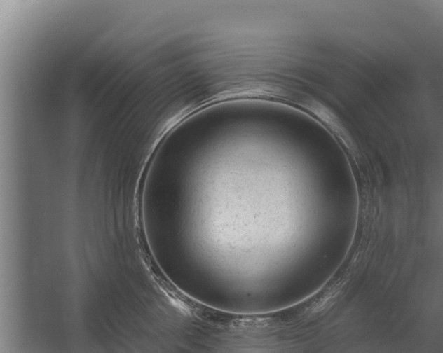 X0000060230858200511041229