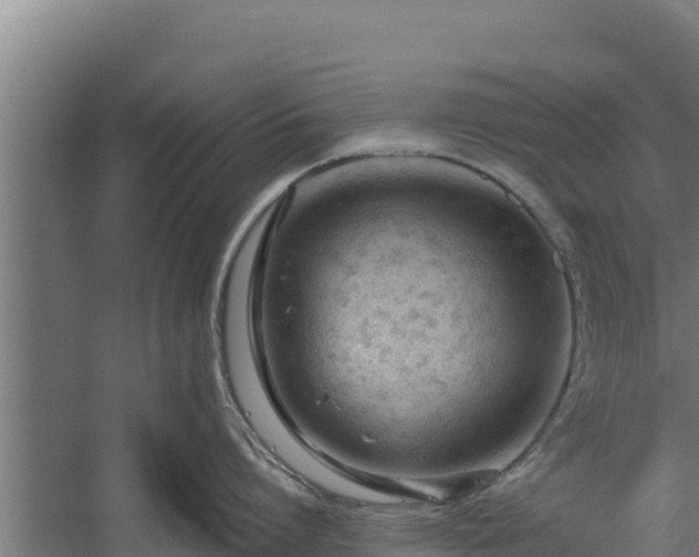 X0000060230864200511041229