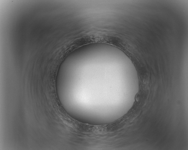 X0000060230865200511041228