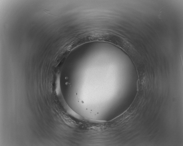 X0000060230868200511041228