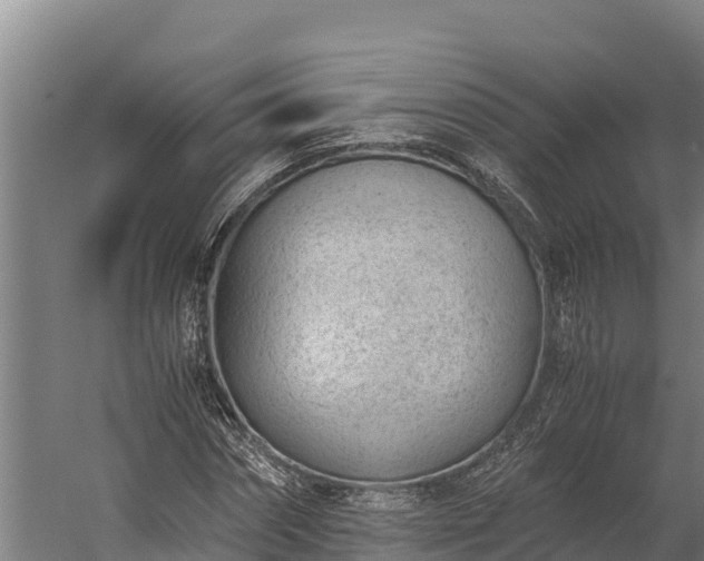 X0000060230874200511041228