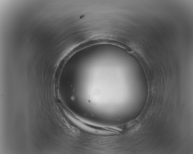 X0000060230877200511041228