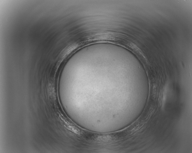 X0000060230882200511041228