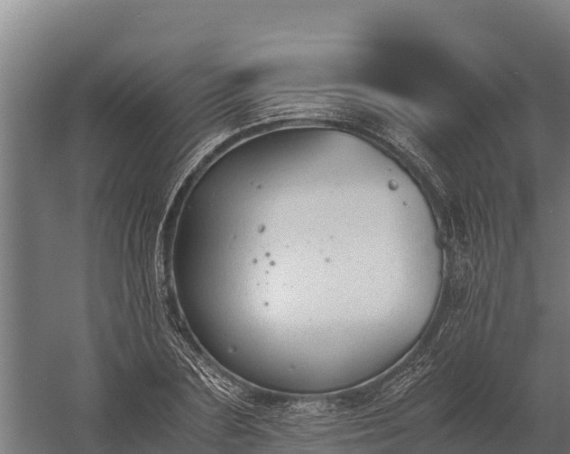 X0000060230883200511041228