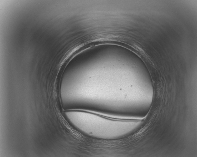 X0000060230885200511041228