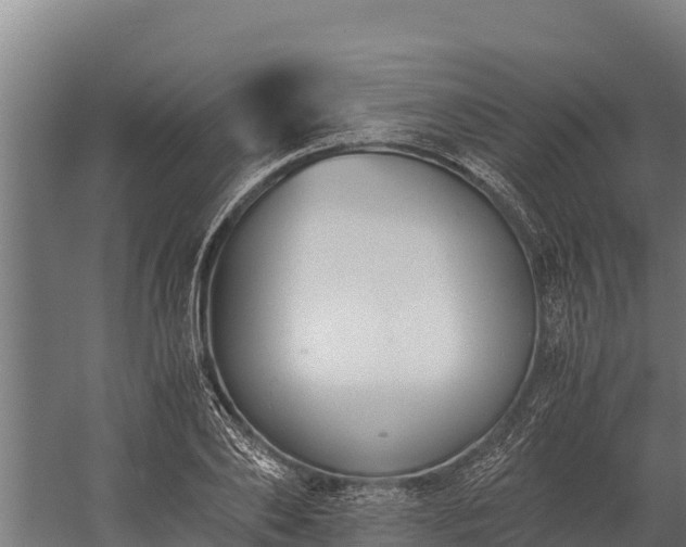 X0000060230886200511041228