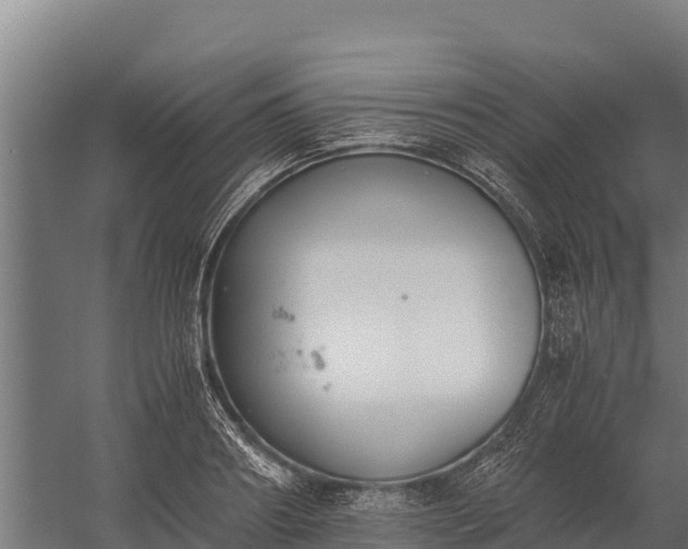 X0000060230890200511041228