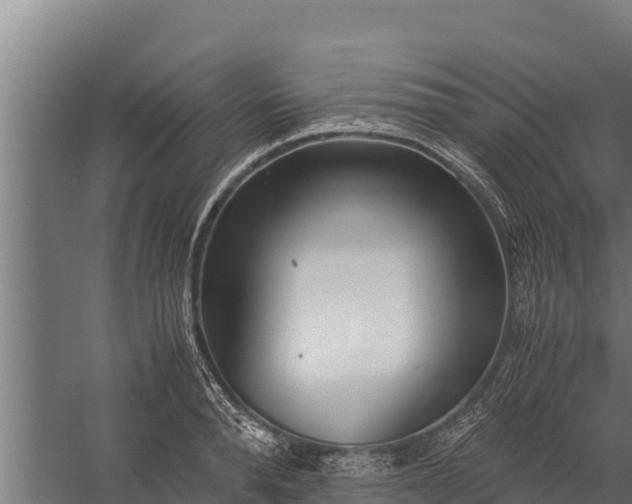 X0000060230896200511041227