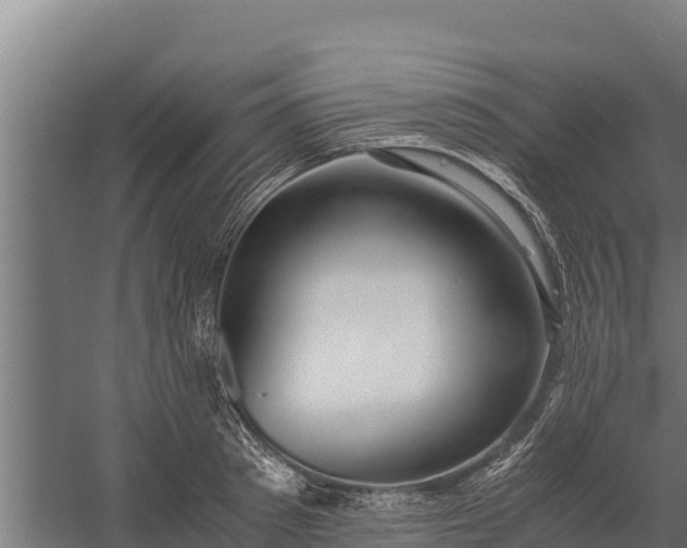 X0000060230897200511041227