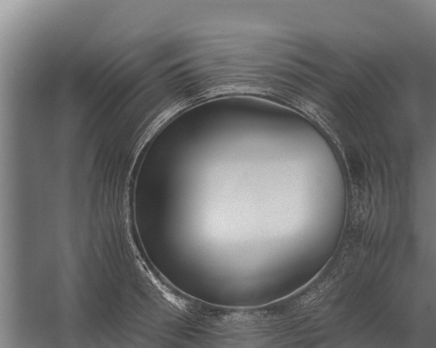 X0000060230898200511041227