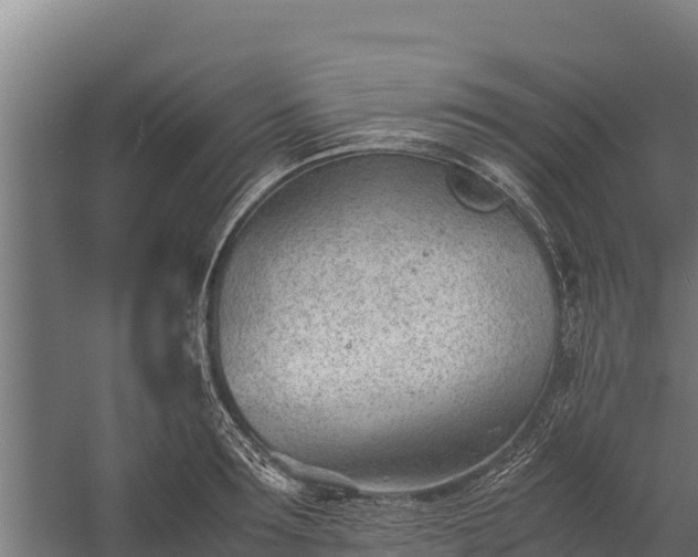 X0000060230899200511041227