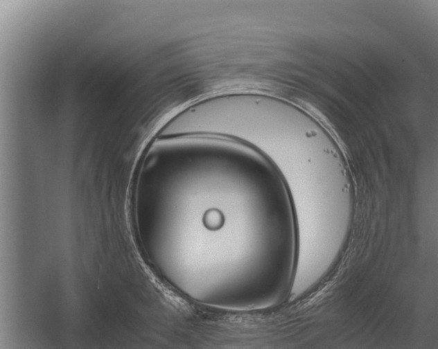 X0000060230901200511041227