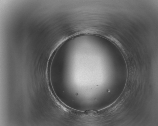 X0000060230902200511041227