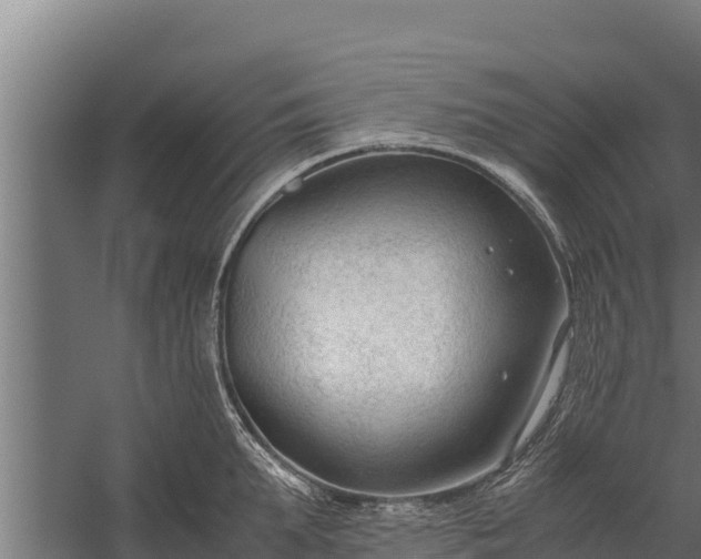 X0000060230903200511041227