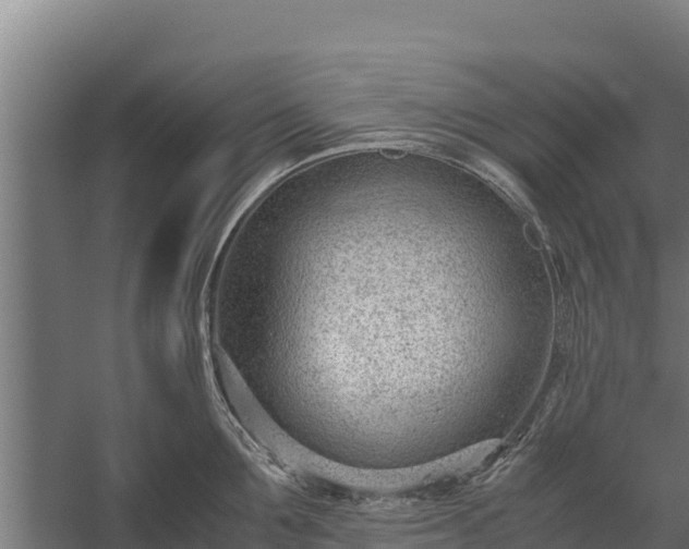 X0000060230907200511041227