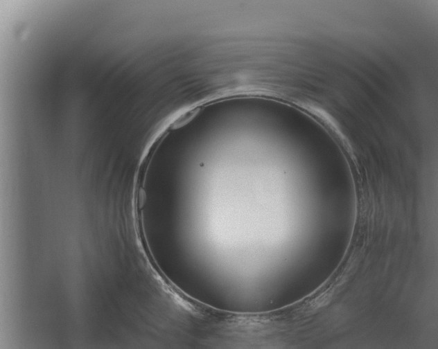 X0000060230910200511041227