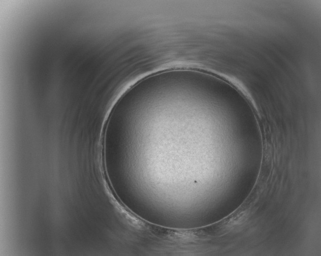 X0000060230911200511041227